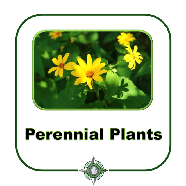 Native Plant Perennials for Michigan, midwest, northeast U.S. East