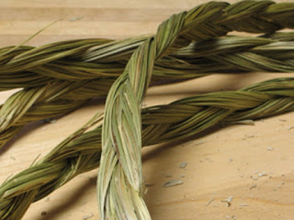 Sweet Grass Braid (Heirochloe odorata) - Scents of Earth